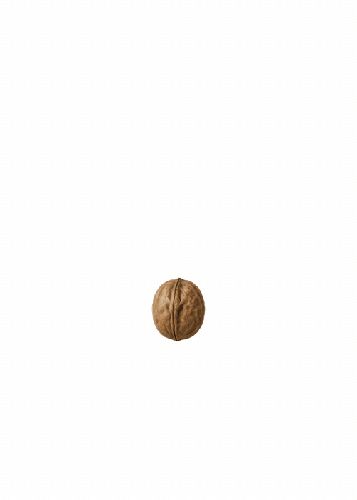 De la semilla al árbol: el potencial solo cuenta si llega a manifestarse